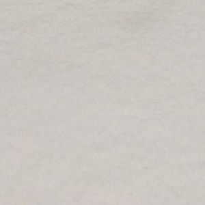 Meet your Posher, Alisha